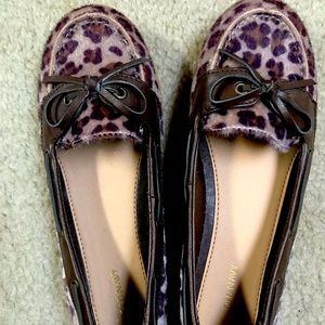 New Leopard printed loafers 👞